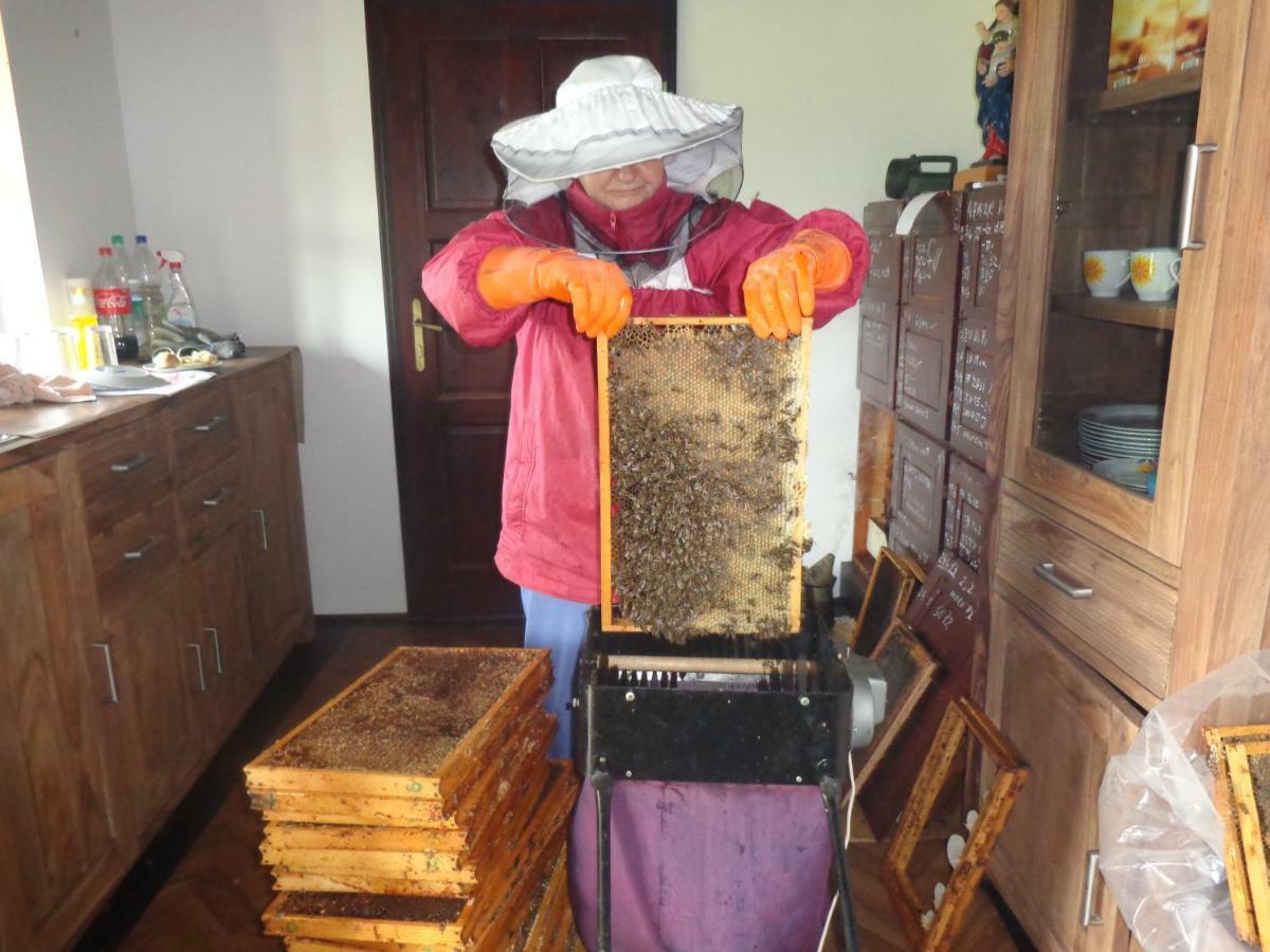 萨拉穆农家乐 巴诺夫茨 外观 照片